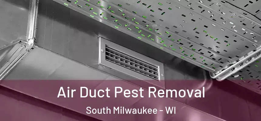  Air Duct Pest Removal South Milwaukee - WI