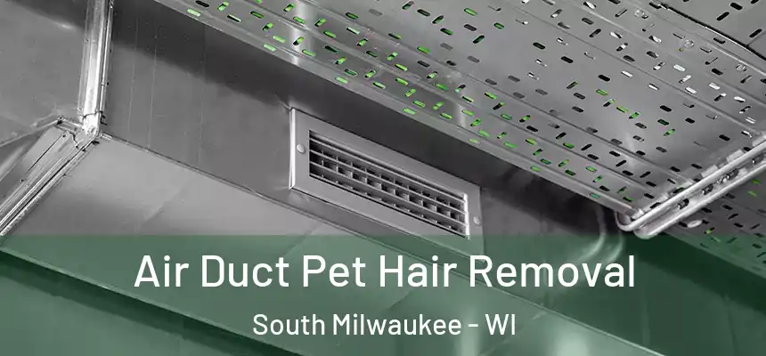 Air Duct Pet Hair Removal South Milwaukee - WI