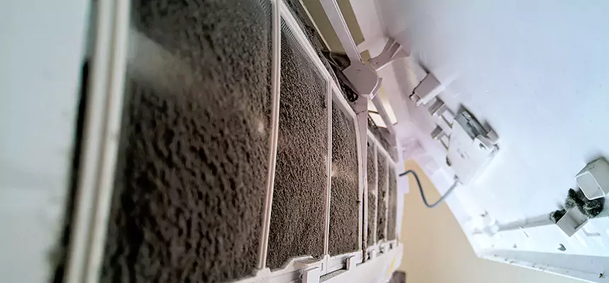 Preventive Air Duct Bacteria Removal in South Milwaukee