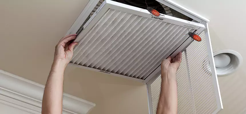Preventive Cockroach-Proofing for Ducts in South Milwaukee