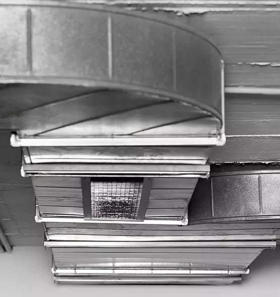 Professional Air Duct Pest Removal in South Milwaukee, WI