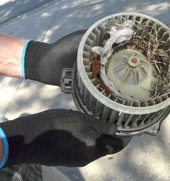 About Air Duct Rat Removal in South Milwaukee, WI