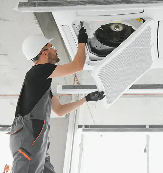 About Air Duct Rodent Removal in South Milwaukee, WI