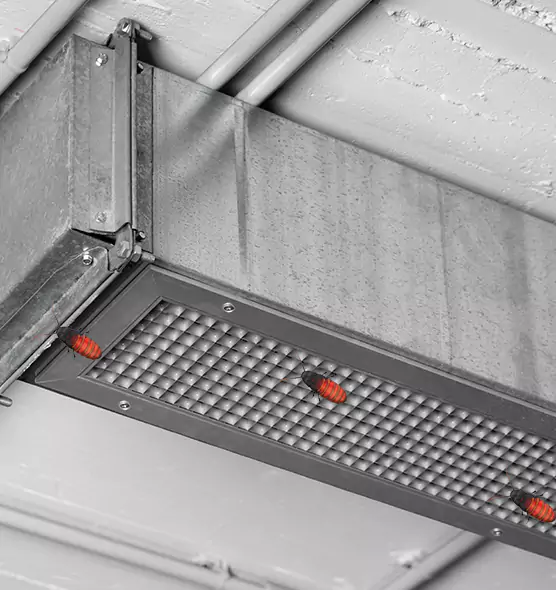 Affordable Insect Removal from Air Ducts in South Milwaukee, WI