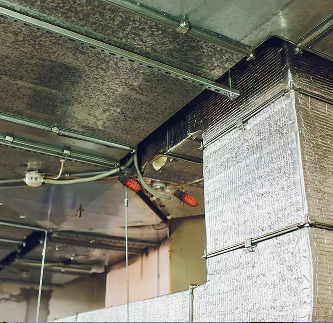 Why Homeowners & Businesses Trust Us in South Milwaukee, WI?